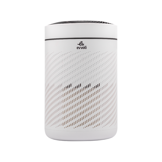 Evvoli Air Purifier With True HEPA filter For Home